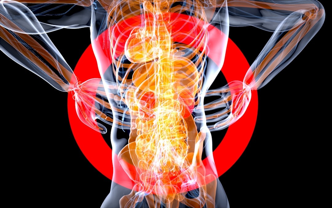 back pain nervous system