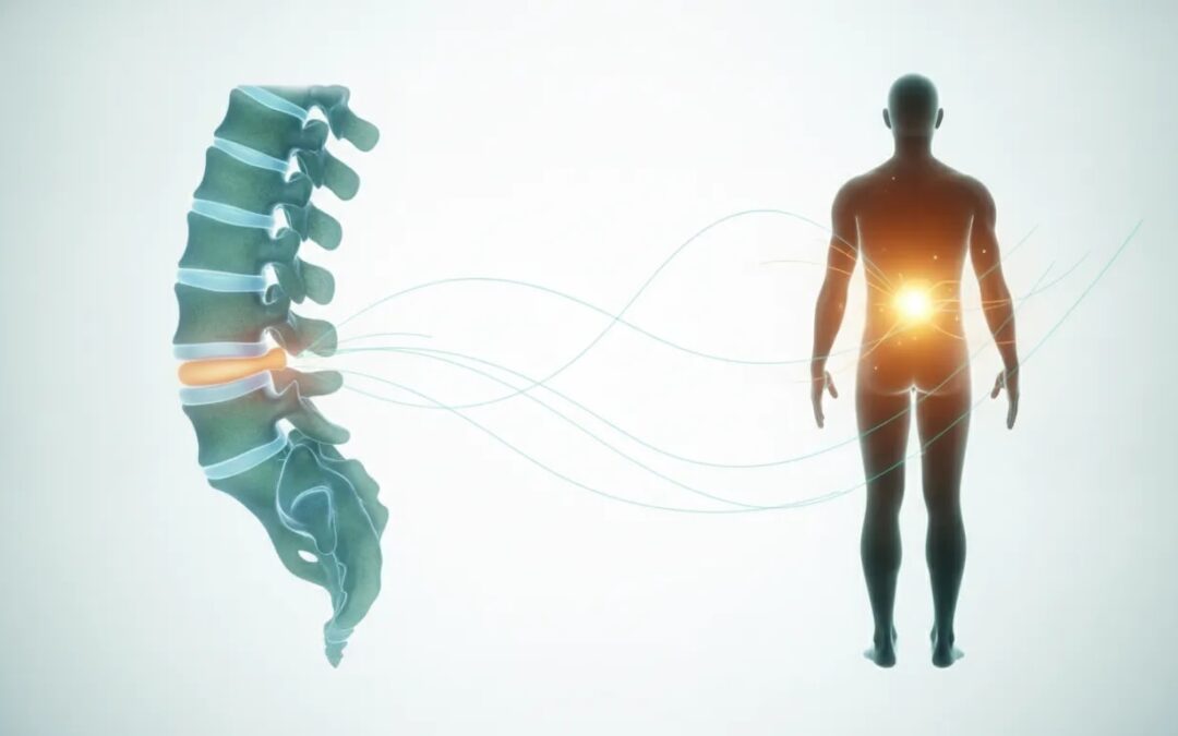 Dolor lumbar y hernias: por qué una hernia no te condena a vivir con dolor