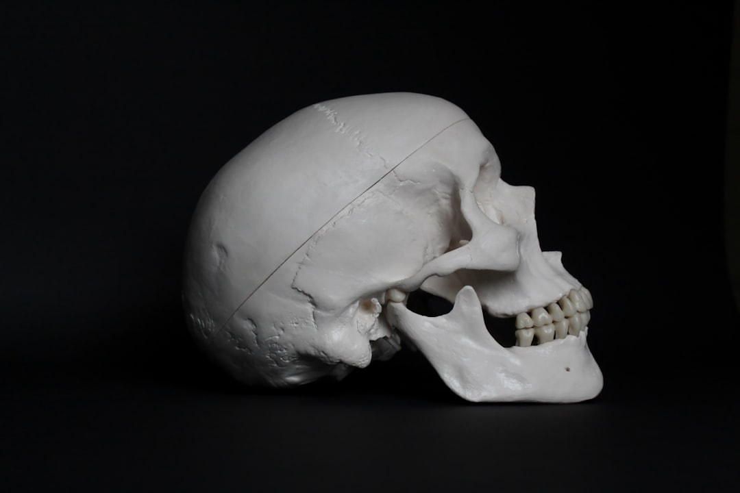 mandible jaw clenching stress bruxism
