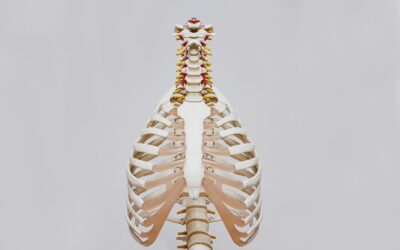 Dolor de espalda: por qué la zona torácica puede ayudarte a aliviar la zona lumbar y cervical
