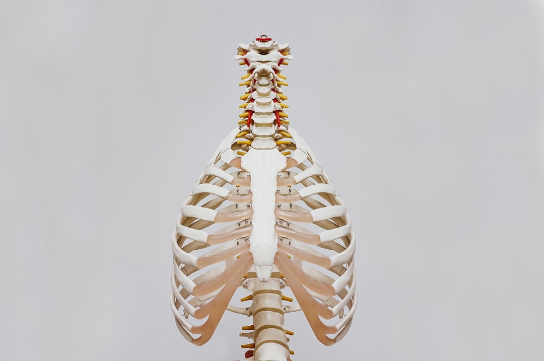 thoracic spine mobility stretch